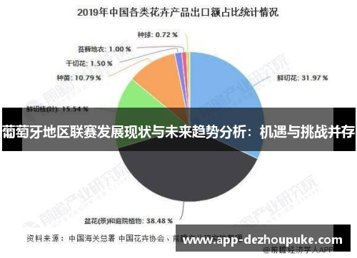 葡萄牙地区联赛发展现状与未来趋势分析：机遇与挑战并存